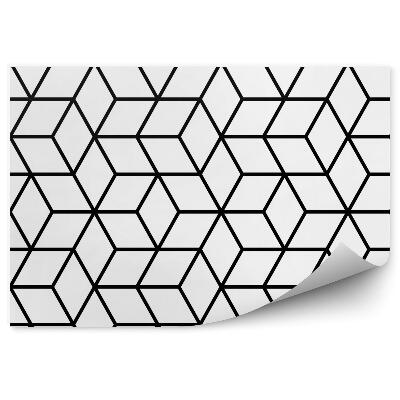 Fototapeta na stenu Geometrický vzor kocky