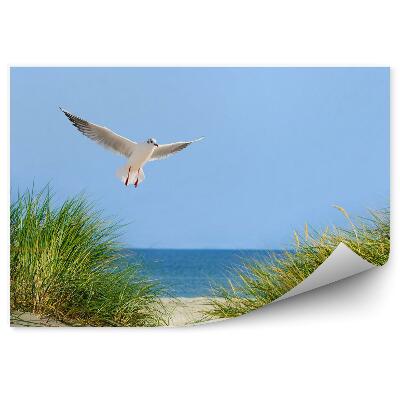 Fototapeta na stenu Odkryté duny more a čajka