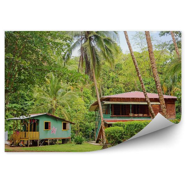 Fototapeta Karibská chata s tropickou vegetáciou