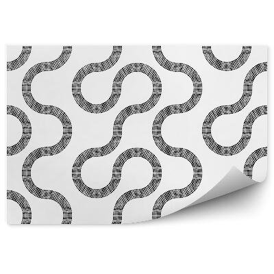 Fototapeta na stenu Moderný čiernobiely vzor