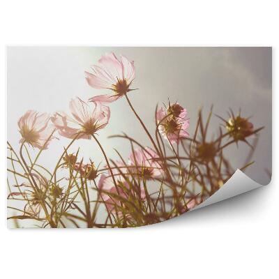 Fototapeta na stenu Kvety pri západe slnka