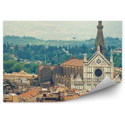 Fototapeta na stenu Bazilika Santa Croce Florencia budovy hory obloha