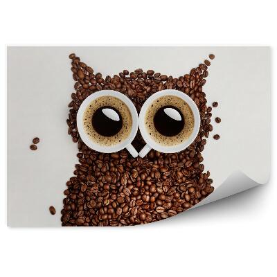Fototapeta na stenu Kávová sova