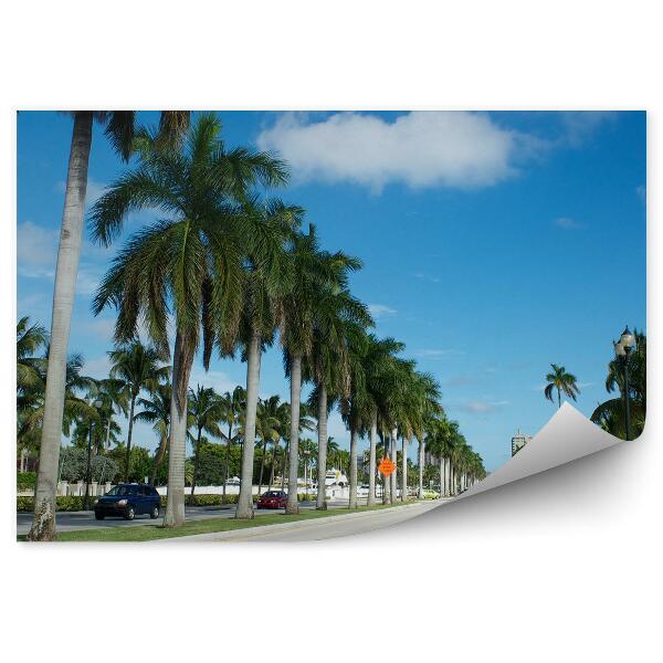 Fototapeta na stenu Florida Palmy Mestské Ulice Autá