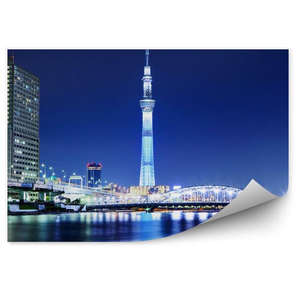 Fototapeta Mrakodrapy mosty rieka noc Tokio