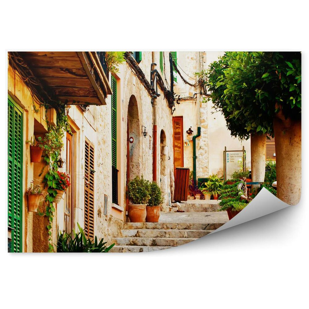 Fototapeta na stenu Ulica v meste valldemossa na Malorke