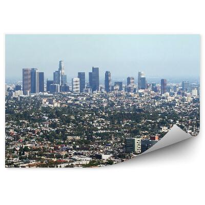 Fototapeta Letecký pohľad na stromy v Los Angeles