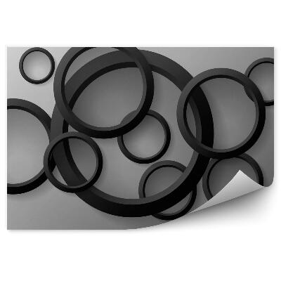 3d fototapeta Abstraktné 3d obruče