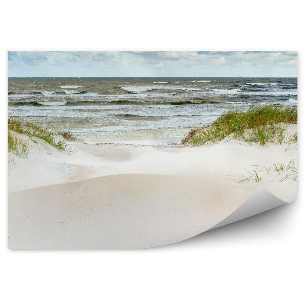 Fototapeta Duny na pobreží Baltského mora
