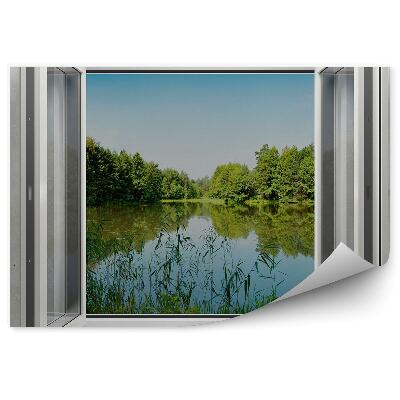 Fototapeta Šedá stena okno les jazero stromy