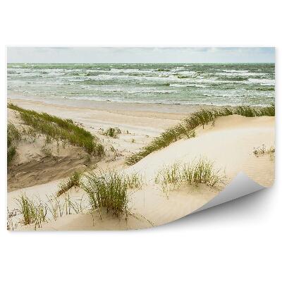 Fototapeta Duny More Vlny Tráva Piesok Nebo Mraky