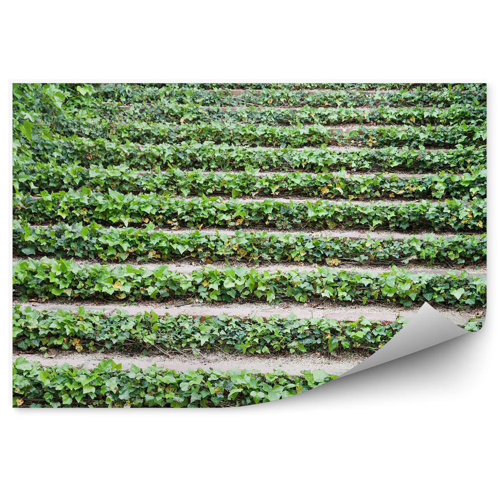 Fototapeta na stenu Schodisko Brečtan