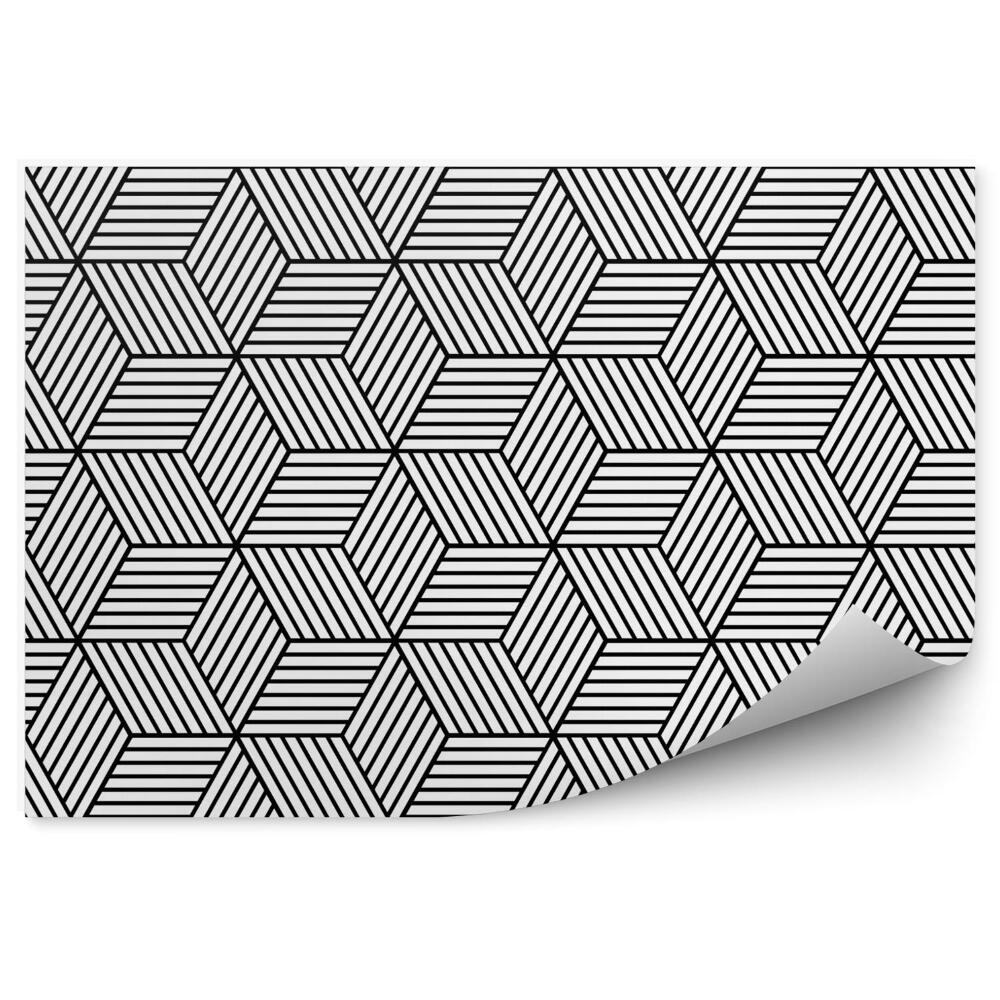 Fototapeta na stenu Geometrický vzor kocky