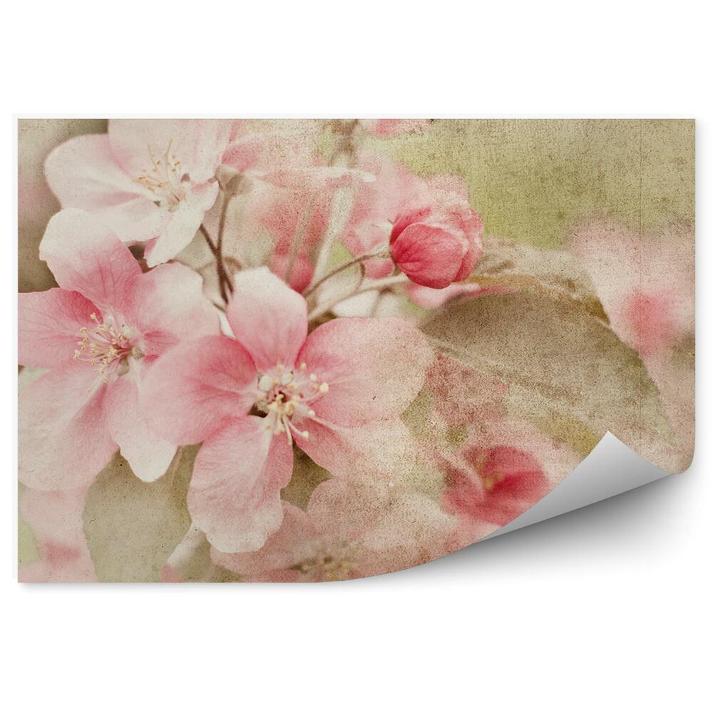 Fototapeta Ružové Jablkové Kvety Hnedé Pozadie