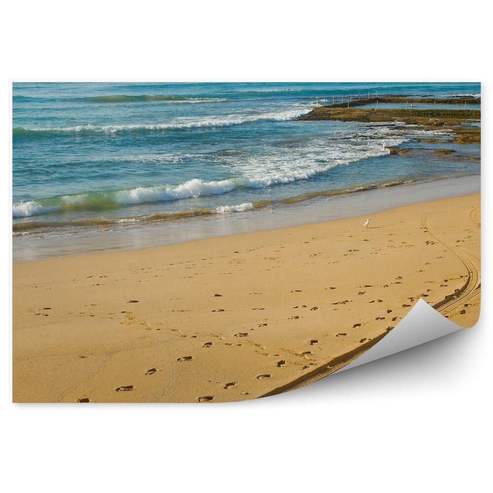 Fototapeta na stenu Pláž Vtáky Oceán Voda Vlny Skaly