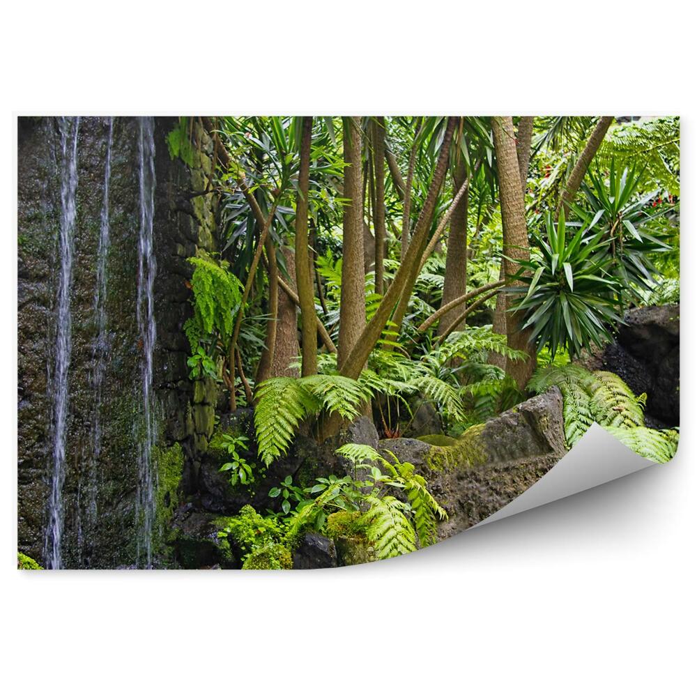 Fototapeta na stenu Madeira Kopec Vodopád Skaly Palmy Paprade Exotické Rastliny