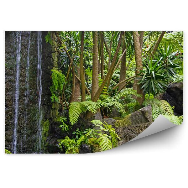 Fototapeta na stenu Madeira Kopec Vodopád Skaly Palmy Paprade Exotické Rastliny
