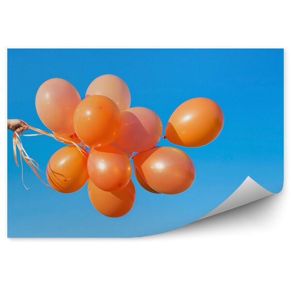Fototapeta Oranžové Balóny Obloha