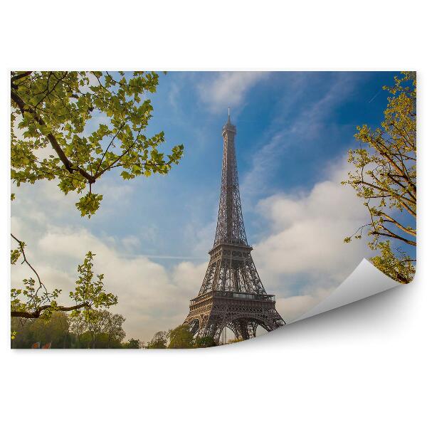 Fototapeta na stenu Eiffelova veža lode stromy Seina Paríž Francúzsko