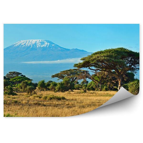 Fototapeta Amboseli Národný Park Hory Sneh Zima Stromy Tráva Nebo Mraky Savana