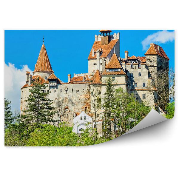Fototapeta Hrad v transylvánii slávny drakula