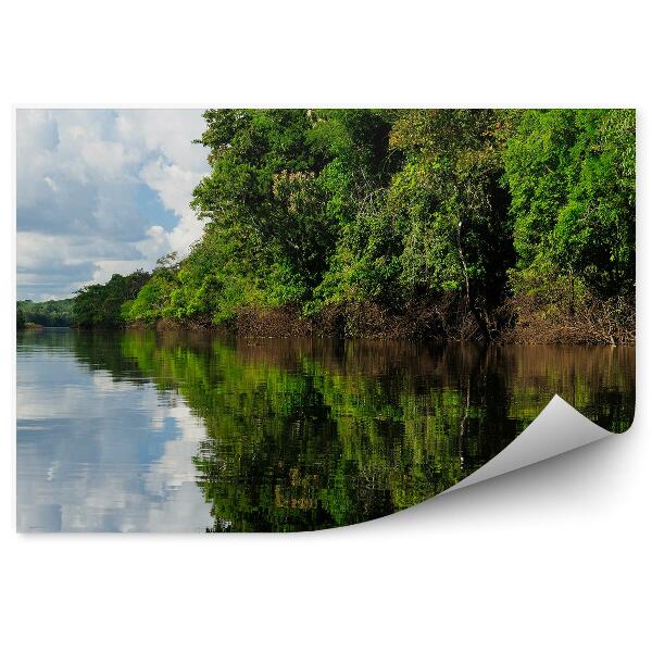 Fototapeta Tropický dažďový prales rieka obloha mraky Amazonka