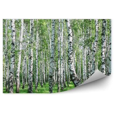 Fototapeta Brezová lesná tráva