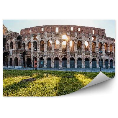 Fototapeta Zrúcanina pamiatky rímske koloseum na jar