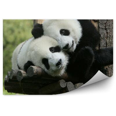Fototapeta na stenu Mazliaca sa panda