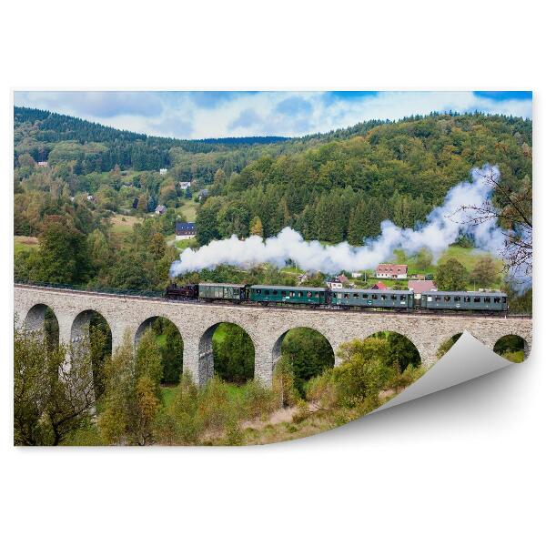 Fototapeta na stenu Parný vlak na viadukte novina dolina krystofovo česká republika