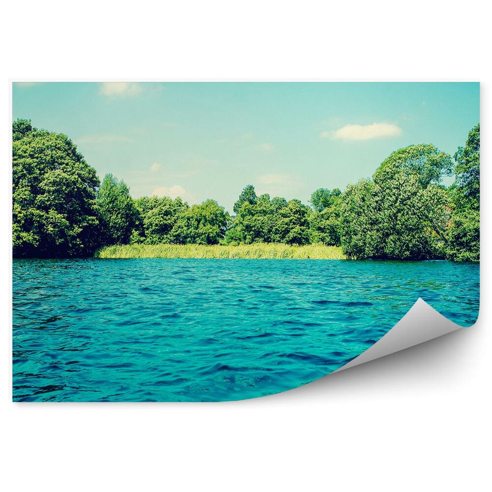 Fototapeta na stenu Jazero jemné vlny breh stromu