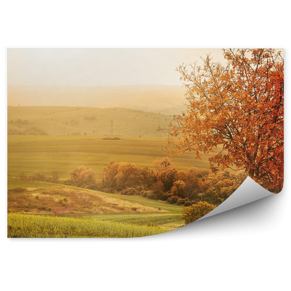 Fototapeta na stenu Jesenný strom na lúke silné svetlo