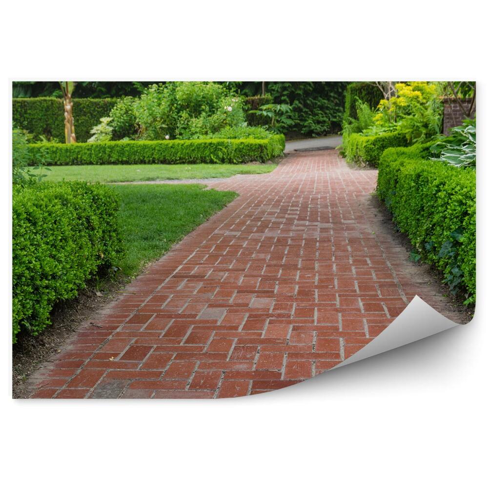 Fototapeta na stenu Záhradná cesta vegetácia kríky zeleň