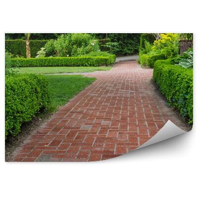 Fototapeta na stenu Záhradná cesta vegetácia kríky zeleň