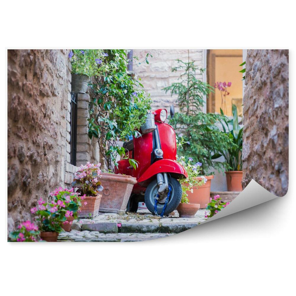 Fototapeta na stenu Červený skúter