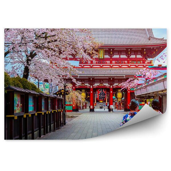 Fototapeta na stenu Sakura Príroda Mesto Japonsko Gejša Kimono