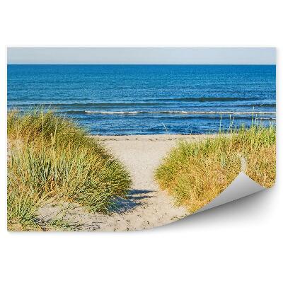 Fototapeta na stenu Pláž Tráva Oceán Obloha