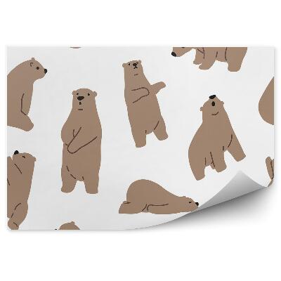 Fototapeta Medvede vzor zvierat