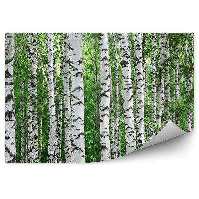 Fototapeta na stenu Brezová lesná tráva