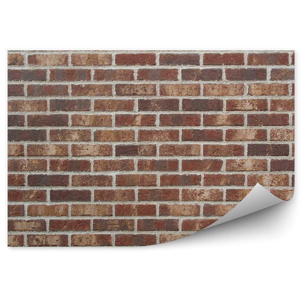 Fototapeta na stenu Tmavé tehlové murivo