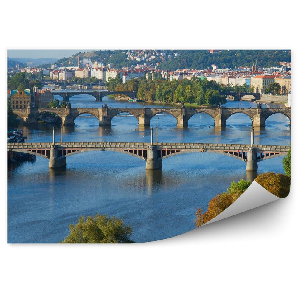 Fototapeta Pogled s ptičje perspektive Praga mostovi mesto