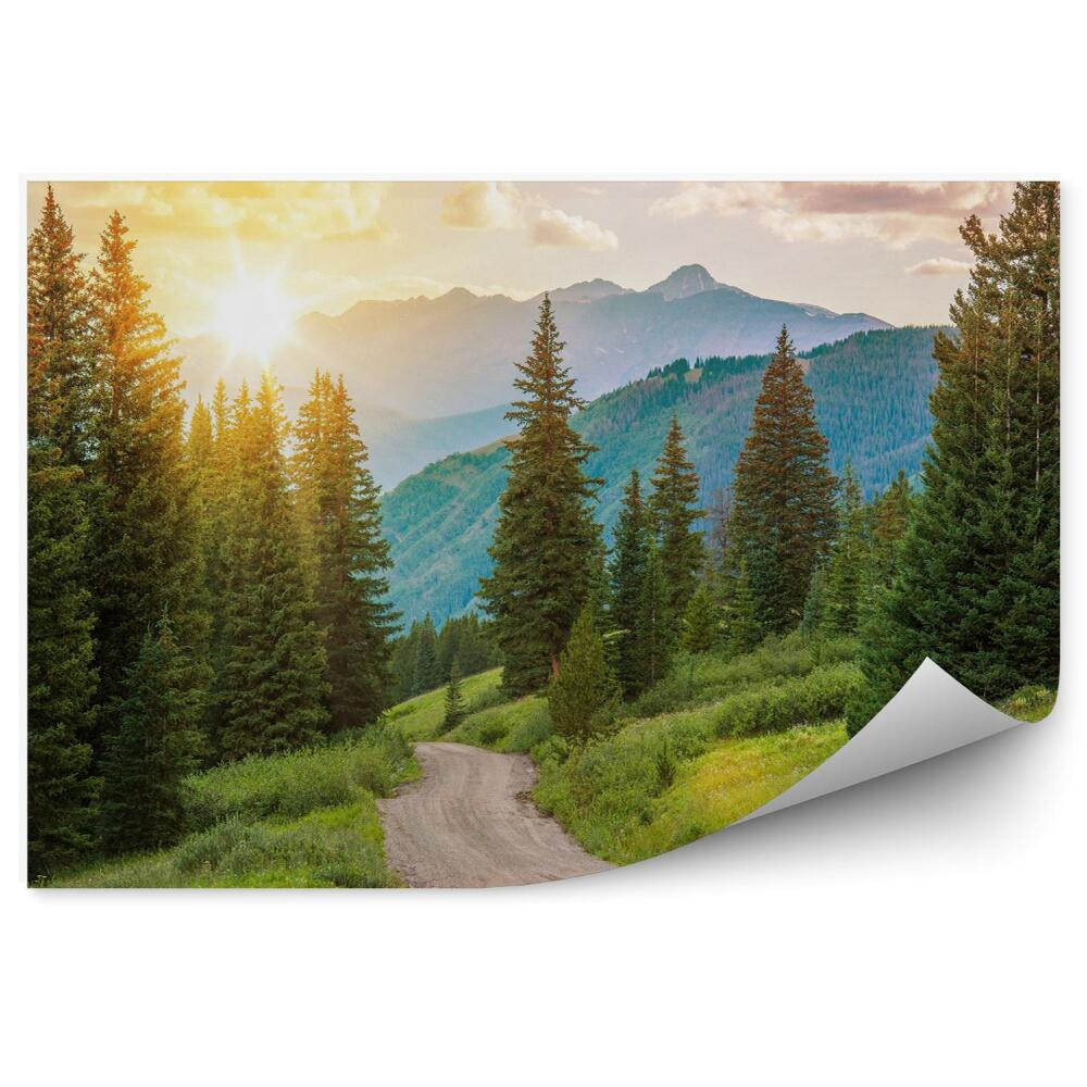 Fototapeta Horská lesná krajina