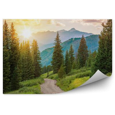 Fototapeta Horská lesná krajina