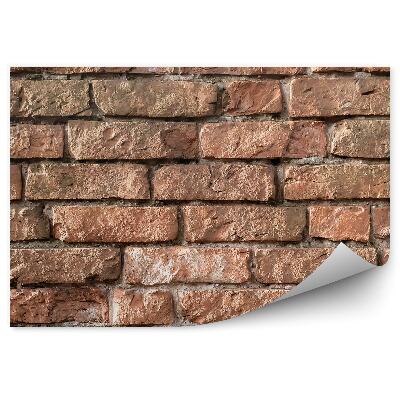 Fototapeta Stará tehlová stena