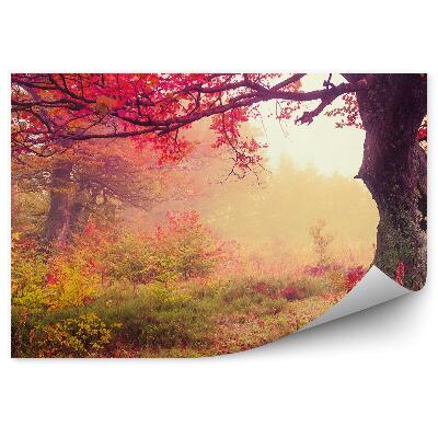 Fototapeta Jesenný les červené listy strom zblízka