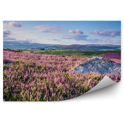 Fototapeta na stenu Kopce Vo Vresoch