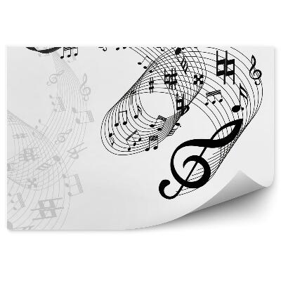 Fototapeta na stenu 3D noty 