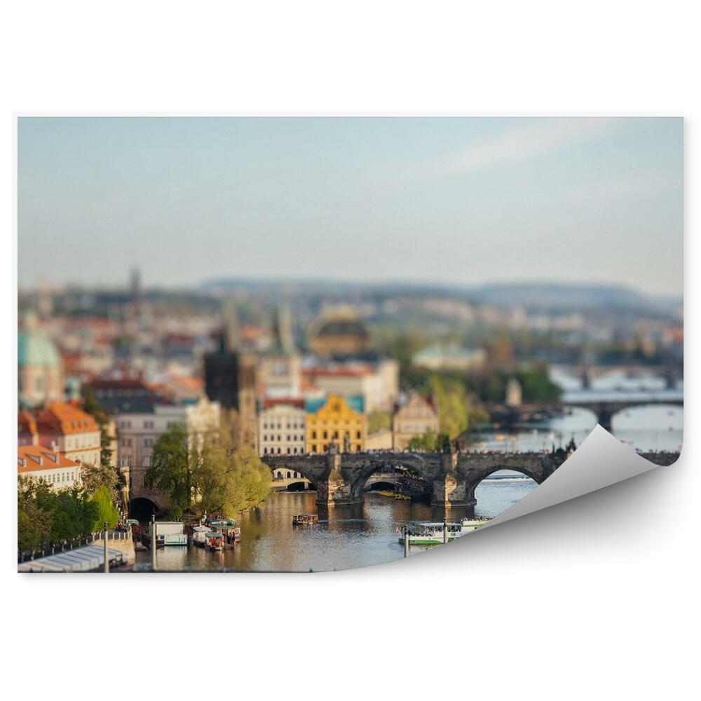 Fototapeta na stenu Panoráma mesta Vltavský most Praha trajekty