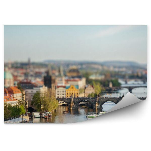 Fototapeta na stenu Panoráma mesta Vltavský most Praha trajekty