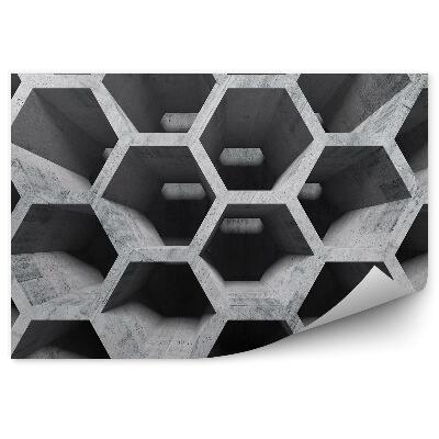 Fototapeta Perspektíva betónu voštinového typu